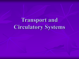 Transport and Circulatory Systems Why are transport