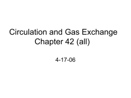 Circulation and Gas Exchange Chapter 42 (all)