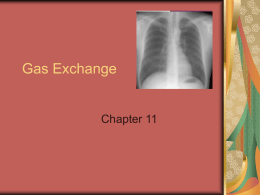 Gas Exchange - Mrs. Feigenbaum`s Science Classes