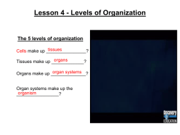 Levels of Organization The 5 levels of organization