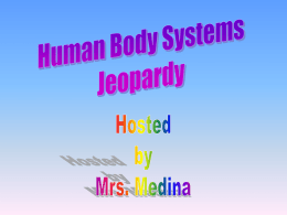 human body jeopardy game