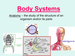 Nutrition- Powerpoint