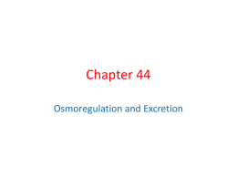 Chapter 44 - Trimble County Schools