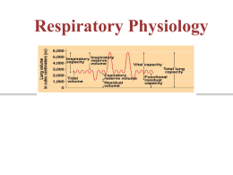 Respiratory system power point