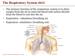The Respiratory System ch14
