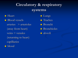 click here for a powerpoint presentation on the circulatory and