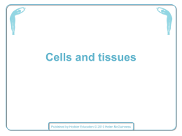 Cells and tissues - Dynamic Learning