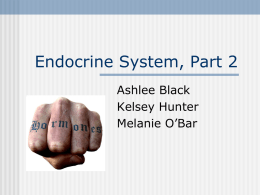 Endocrine System, Part 2