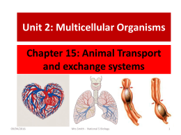 Ch15 Animal Transport + Exchange Systems