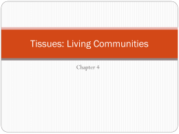 Tissues: Living Communities