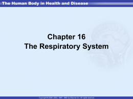 Chapter 16 The Respiratory System UPPER RESPIRATORY TRACT