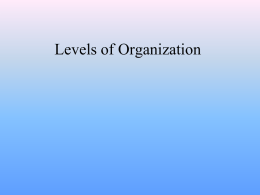 Levels of Organization Notes