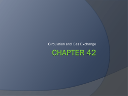 chapter42_circulation and gas exchange