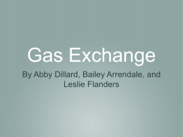 GAS EXCHANGE:RESPIRATION