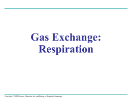 Ch 42 Gas exchange