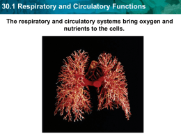 30.1 Respiratory and Circulatory Functions Lung diseases reduce