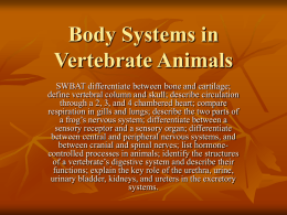 Body Systems in Vertebrate Animals