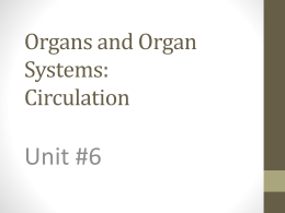 Organs and Organ Systems: Circulation