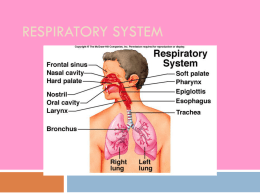 Respiratory System - Rowan County Schools