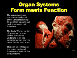 organ system - Ms. V Biology