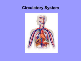 Circulatory System PPT