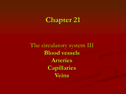 Chapter 21 - Circulatory