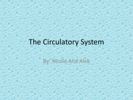 The Circulatory System nicole and alek