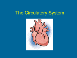 The Circulatory System - Blountstown Middle School
