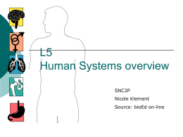 5 SNC2P human org systems overview - Nicole