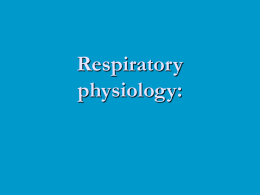 Respiratory Physiology - Department of Zoology, UBC