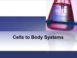 Cells to Body Systems