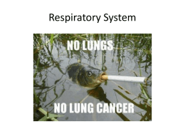 Lungs Powerpoint