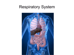 Diseases of the Respiratory System Lung Cancer