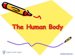 The Human Body workforce planning