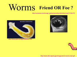 Worms - Local.brookings.k12.sd.us