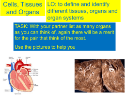 Tissues and Organs - sciencelanguagegallery