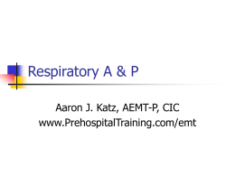 Respiratory A & P