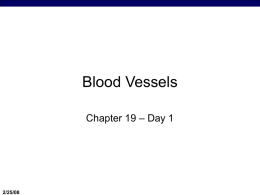 Blood Vessels, Day 2