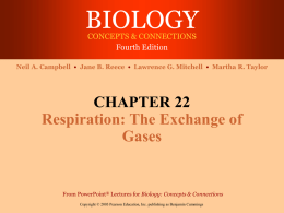 Chapter 22: Respiration