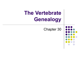 The Vertebrate Genealogy