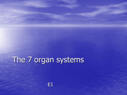 the real organ system report!