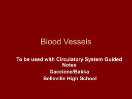 Blood Vessels - Teacher Pages