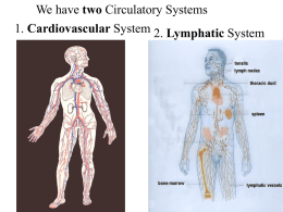 Circulatory System Cardiovascular.Lymphatic