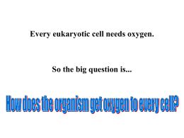 Every eukaryotic cell needs oxygen. So the big