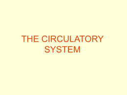 THE CIRCULATORY SYSTEM