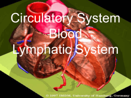Circulation/Blood/Lymphatic Systems
