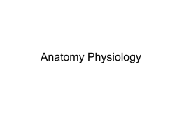 Anatomy Physiology