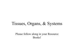 Tissues, Organs, & Systems