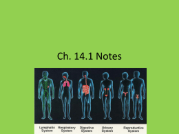 Ch. 14.1 Notes