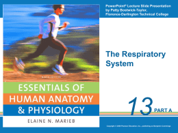 13-1 Organs of Respiratory system